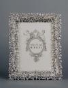 Swarovski Twinkles Crystal Frame